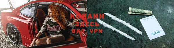 mdpv Вяземский