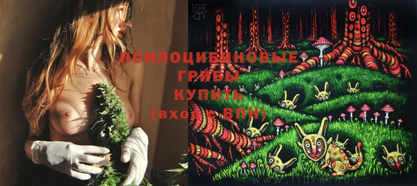 mdpv Вяземский