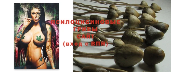 mdpv Вяземский